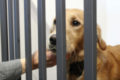 otwarcie_jrg2_04_202635