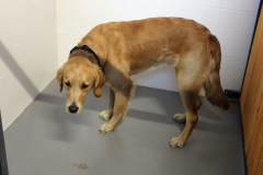 otwarcie_jrg2_04_202637