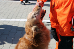 otwarcie_jrg2_04_202641