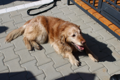 otwarcie_jrg2_04_202642