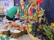 Jubileusz 15-lecia działalności Zespołu Folklorystycznego ‘Bobrowianie’