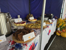 Jubileusz 15-lecia działalności Zespołu Folklorystycznego ‘Bobrowianie’