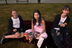aa_17_kin
