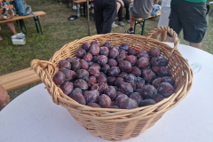 laskowa_festiwal_pogwiazdani_08_2026054