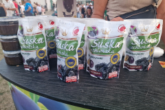 laskowa_festiwal_pogwiazdani_08_2026055