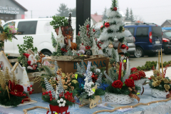 aa_IMG_5822_bb
