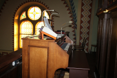 noc_u_sw_wawrzynca_06_2025008