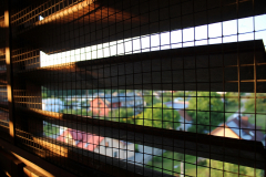 noc_u_sw_wawrzynca_06_2025021