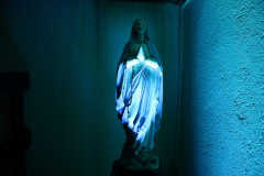 noc_u_sw_wawrzynca_06_2025029