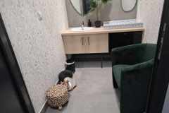 15ec7678-24fc-40f1-8686-31ca5a98104d