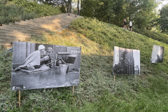 IMG_7484