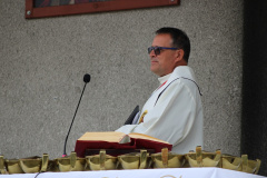 ppt_sokolniki006