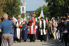 ppt_wejscie4062