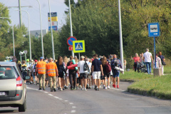 ppt_wyjscie041
