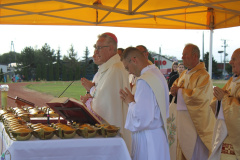 ppt_zarnowiec004