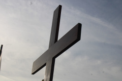 ppt_zarnowiec007