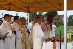 ppt_zarnowiec024