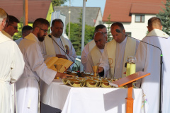 ppt_zarnowiec066