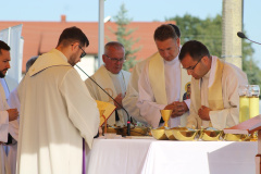 ppt_zarnowiec067