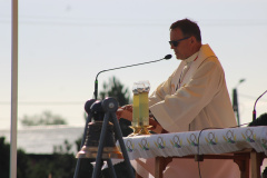 ppt_zarnowiec075