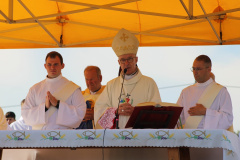ppt_zarnowiec087
