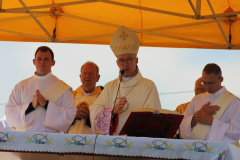 ppt_zarnowiec090