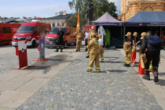 rynek_trening_reagowania004