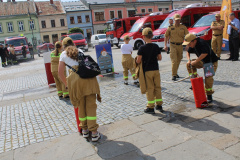 rynek_trening_reagowania008