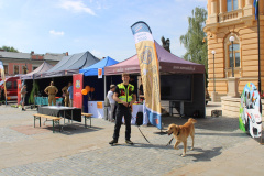 rynek_trening_reagowania030