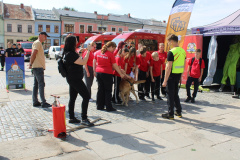 rynek_trening_reagowania032
