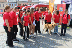 rynek_trening_reagowania033