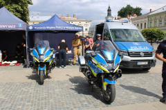 rynek_trening_reagowania038