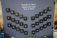 sala_nikifora_02_202655