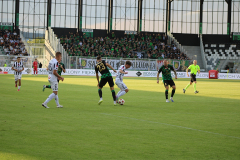 Sandecja_Stal_09_2025036