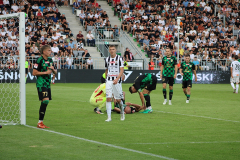 Sandecja_Stal_09_2025055