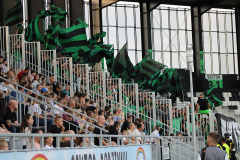 Sandecja_Stal_09_2025061