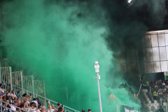 Sandecja_Stal_09_2025070