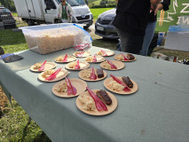 Święto Suszonej Śliwki w gminie Iwkowa