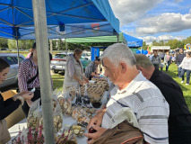 Święto Suszonej Śliwki w gminie Iwkowa