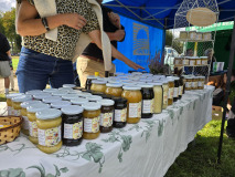 Święto Suszonej Śliwki w gminie Iwkowa