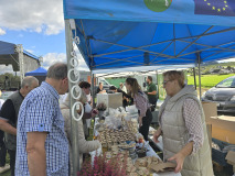 Święto Suszonej Śliwki w gminie Iwkowa