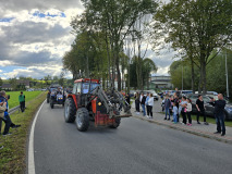Święto Suszonej Śliwki w gminie Iwkowa