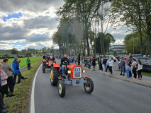 Święto Suszonej Śliwki w gminie Iwkowa