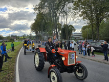 Święto Suszonej Śliwki w gminie Iwkowa