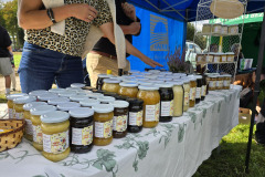 Święto Suszonej Śliwki w gminie Iwkowa