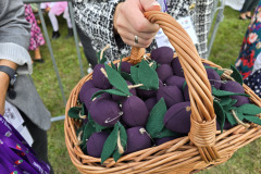 Święto Suszonej Śliwki w gminie Iwkowa