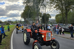 Święto Suszonej Śliwki w gminie Iwkowa