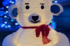 WhatsApp-Image-2026-01-05-at-13.24.14