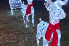 WhatsApp-Image-2026-01-05-at-13.24.15