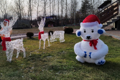 bt_IMG20260105125618-02_protest